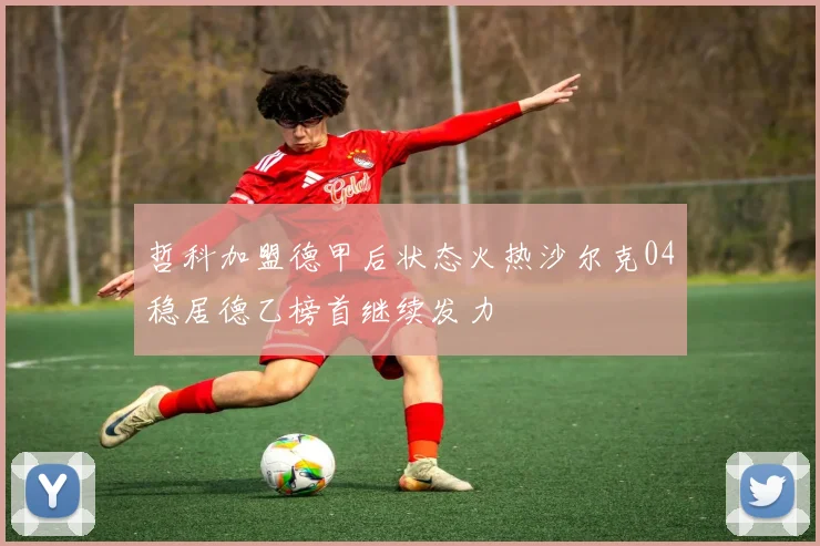 哲科加盟德甲后状态火热沙尔克04稳居德乙榜首继续发力