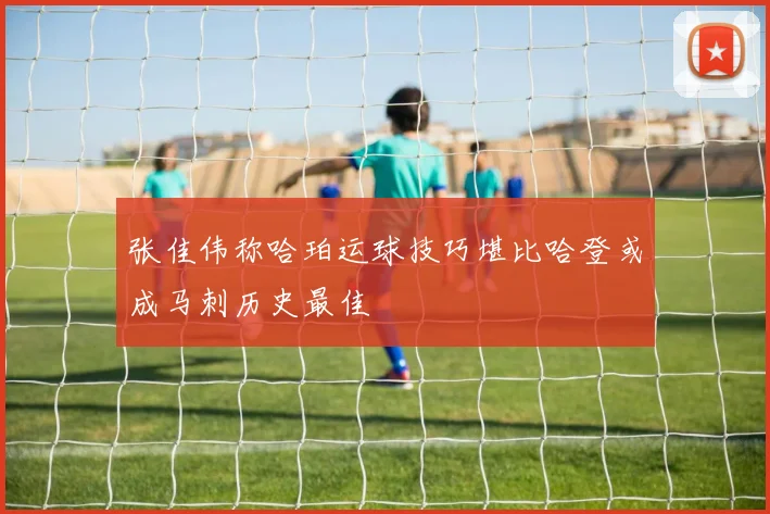 张佳伟称哈珀运球技巧堪比哈登或成马刺历史最佳