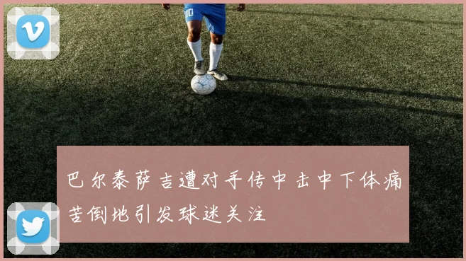巴尔泰萨吉遭对手传中击中下体痛苦倒地引发球迷关注